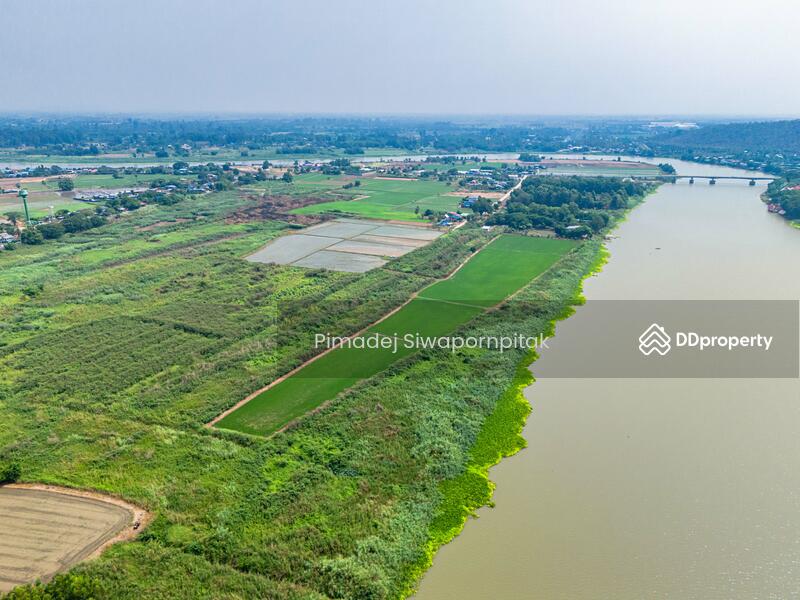 ขาย - ขายที่ดินชัยนาท ติดแม่น้ำเจ้าพระยา หน้ากว้าง 518 เมตร 52ไร่ 3 งาน 89 ตรว, ชัยนาท