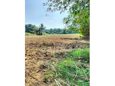 ขาย - ขายที่ดินเกาะขนุนซอยวัดชายเคือง 3 ไร่ ติดคลองติดถนนลาดยาง ใกล้แยกนาน้อยถนน331-4กม. อ.พนมสารคาม, ฉะเชิงเทรา