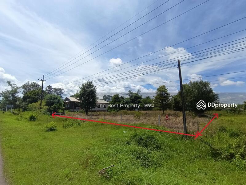 ขาย - ที่ดินศรีวิไล บึงกาฬ, บึงกาฬ