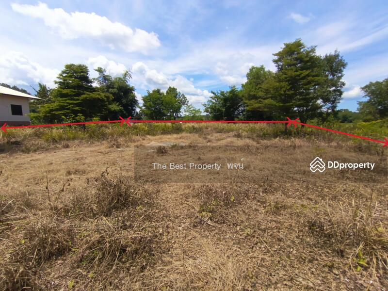 For Sale - ที่ดินศรีวิไล บึงกาฬ, Bueng Kan