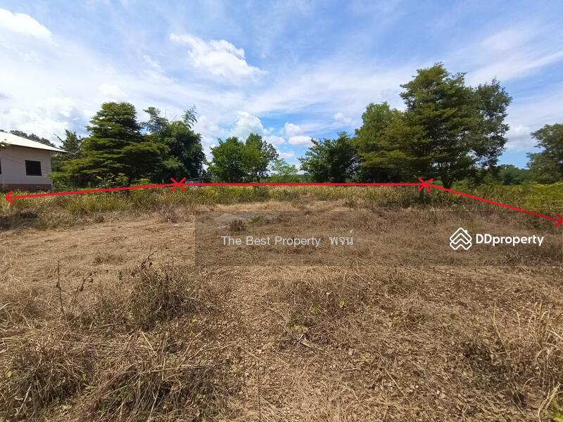 ขาย - ที่ดินศรีวิไล บึงกาฬ, บึงกาฬ