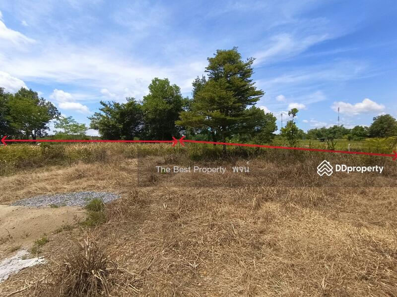 ขาย - ที่ดินศรีวิไล บึงกาฬ, บึงกาฬ