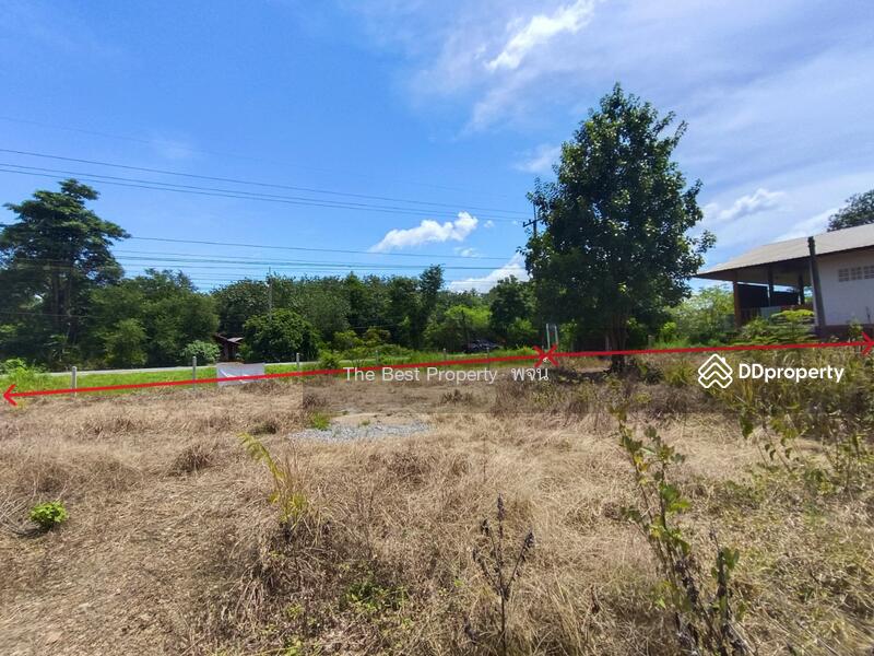 For Sale - ที่ดินศรีวิไล บึงกาฬ, Bueng Kan