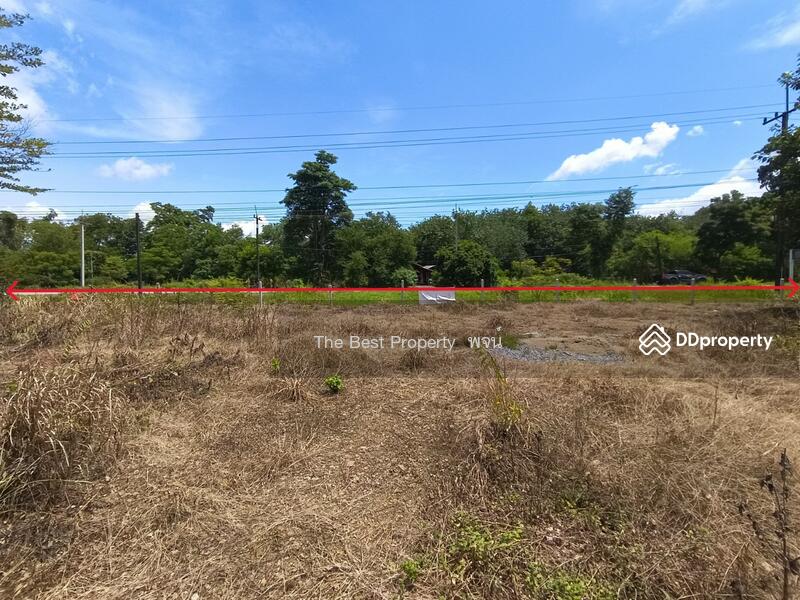 ขาย - ที่ดินศรีวิไล บึงกาฬ, บึงกาฬ
