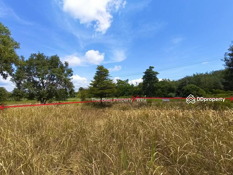 ขาย - ที่ดินศรีวิไล บึงกาฬ, บึงกาฬ