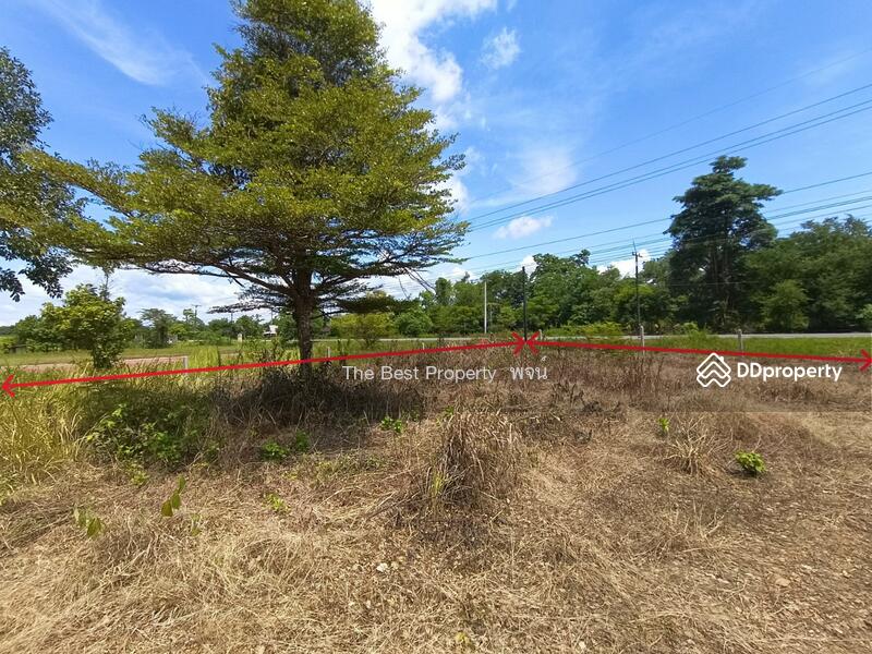 ขาย - ที่ดินศรีวิไล บึงกาฬ, บึงกาฬ
