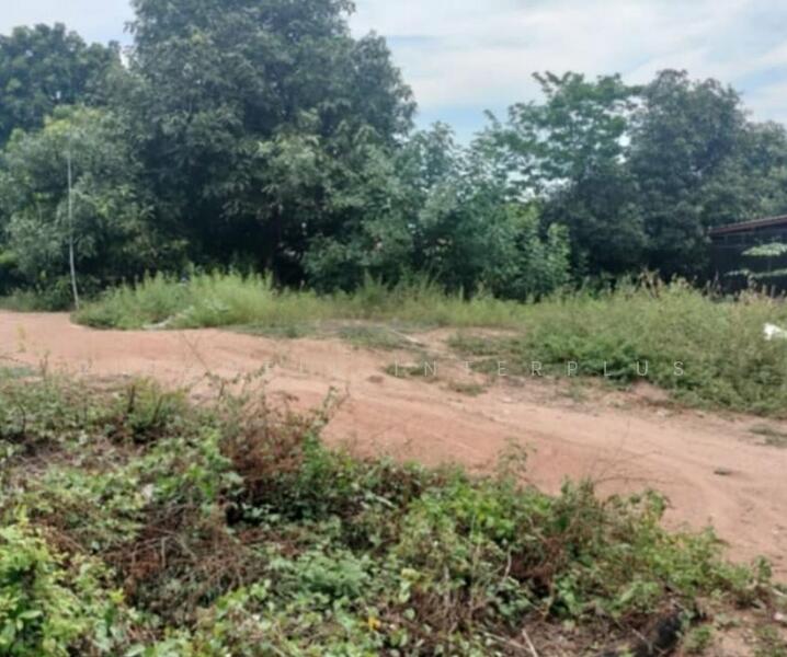 Land for sale in Pattaya, Nong Prue, 115 sq m., Soi Nong Mai Kaen 15, near Map Prachan, Chon Buri (Pattaya), Nong Pru, Bang Lamung (Pattaya), Chon Buri (Pattaya), , 460 sqm, Land For Sale, by RICHWELL INTERPLUS, 60193287 - DDproperty.com