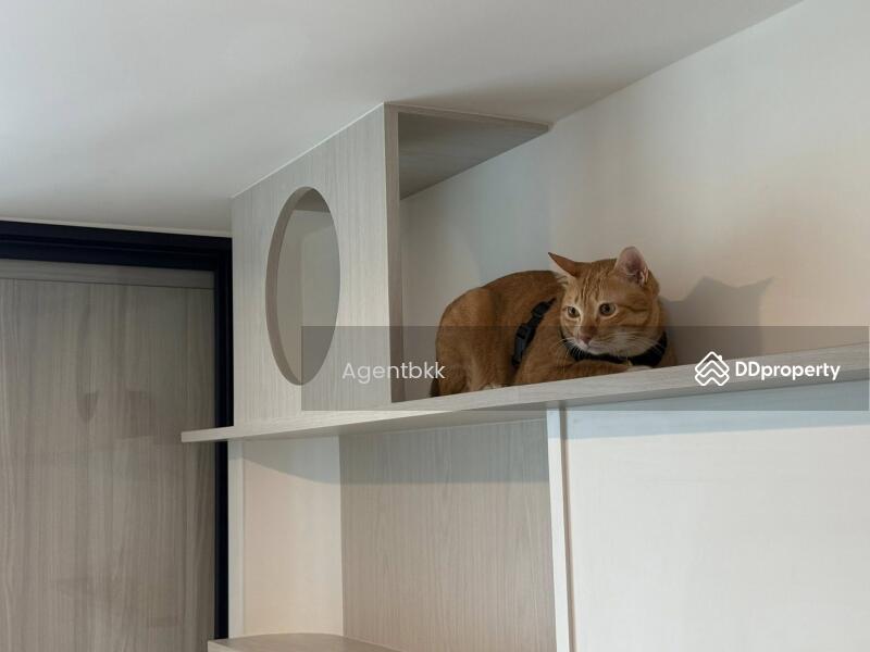 For Rent - Origin Play Sri Udom Station, Bangkok