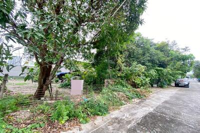 ขาย - ขายที่ดิน 199ตร.วา เพชรเกษม 88/1ใกล้เดอะมอลล์ บางแค MRT หลักสอง ถมแล้ว, กรุงเทพ