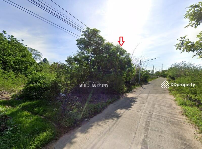 ขาย - ขายที่ดินนครสวรรค์ 4 ไร่ 3 งาน 40 ตร.ว. ติดถนนเขาไม้เดน ใกล้เมืองโบราณโคกไม้เดน, นครสวรรค์