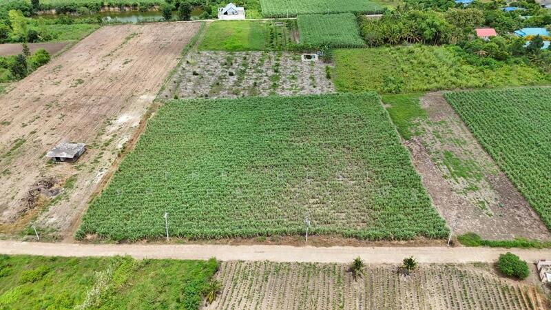 ขาย - ที่ดินด่านมะขามเตี้ย กาญจนบุรี, กาญจนบุรี