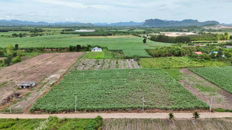 ขาย - ที่ดินด่านมะขามเตี้ย กาญจนบุรี, กาญจนบุรี