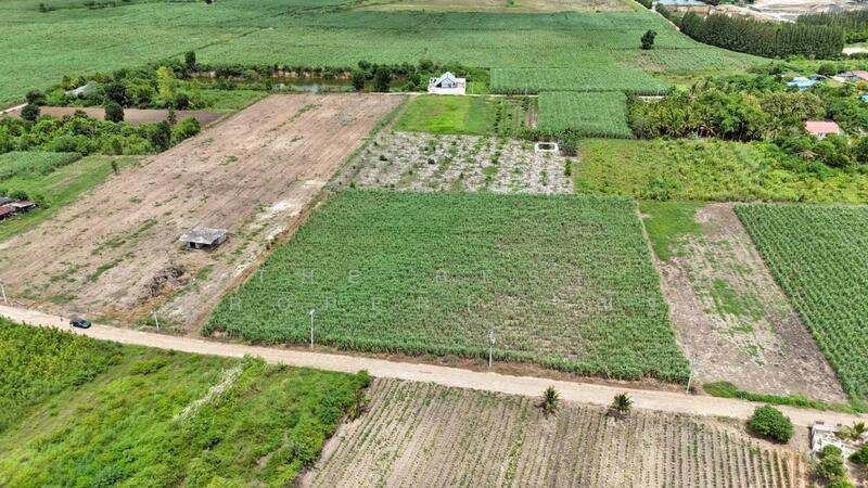 ขาย - ที่ดินด่านมะขามเตี้ย กาญจนบุรี, กาญจนบุรี