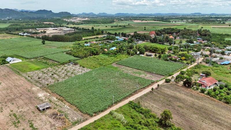 ขาย - ที่ดินด่านมะขามเตี้ย กาญจนบุรี, กาญจนบุรี