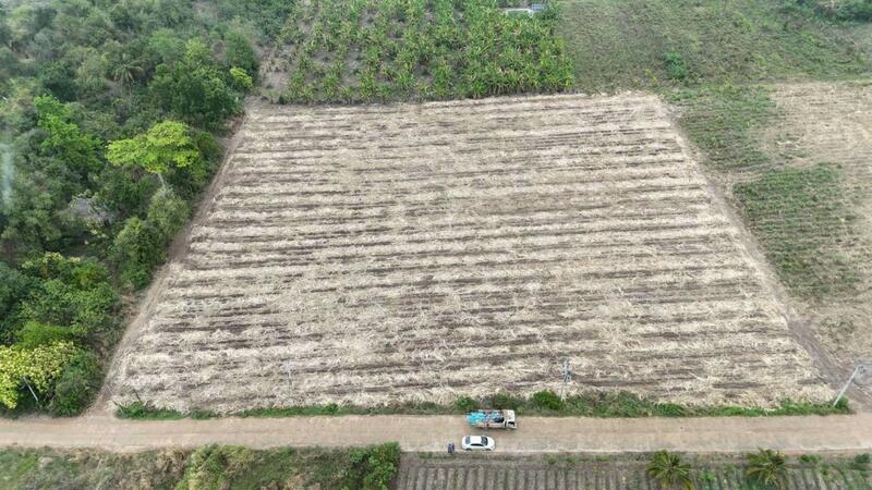 ขาย - ที่ดินด่านมะขามเตี้ย กาญจนบุรี, กาญจนบุรี