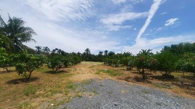 ขาย - ที่ดินเปล่า 1 ไร่ 2 งาน สามพราน - นครปฐม ราคาถูก, นครปฐม