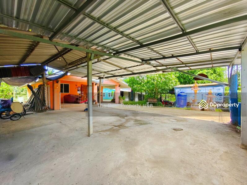 ขาย - หนองปลาดุก บ้านโป่ง, ราชบุรี