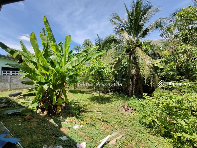 ขาย - หนองปลาดุก บ้านโป่ง, ราชบุรี