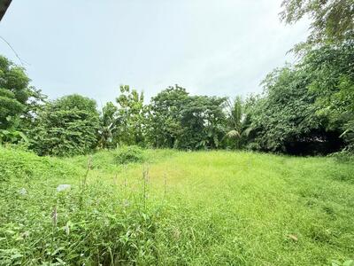 ขาย - ที่ดินหนองจอก กรุงเทพมหานคร, กรุงเทพ