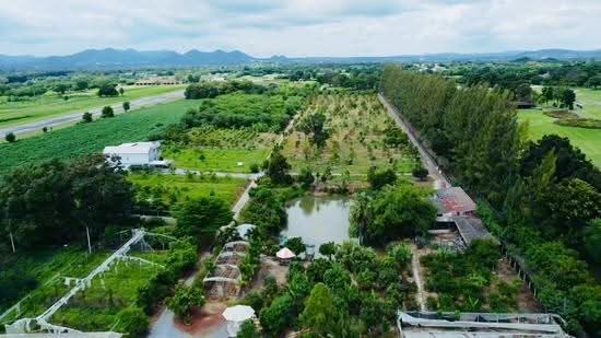 ที่ดิน เขาใหญ่ ปากช่อง 2.8 ล้าน/ไร่ ติดสนามกอล์ฟ แรนโช เขาใหญ่, Nakhon Ratchasima, 9 ทางหลวงชนบท, Khanong Phra, Pak Chong, Nakhon Ratchasima, , 22,040 sqm, Land For Sale, by Wasan Wasati, 60194696 - DDproperty.com