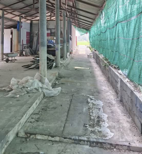 บ้านสร้างเอง 1 ชั้น พร้อมที่ดิน ลาดหลุมแก้ว (ขายตามสภาพ), Pathum Thani, Khlong Phra Udom, Lat Lum Kaeo, Pathum Thani, 1 Bedroom, 50 sqm, Single Detached House For Sale, by บริษัท เอชแอล แอสเซท จำกัด, 60195069 - DDproperty.com