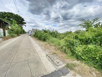 ขาย - ขายที่ดิน ถนน บางกรวย-ไทรน้อย ซอย สนเพชร บางบัวทอง นนทบุรี ติดถนน 2 ด้าน ใกล้แหล่งชุมชน, นนทบุรี