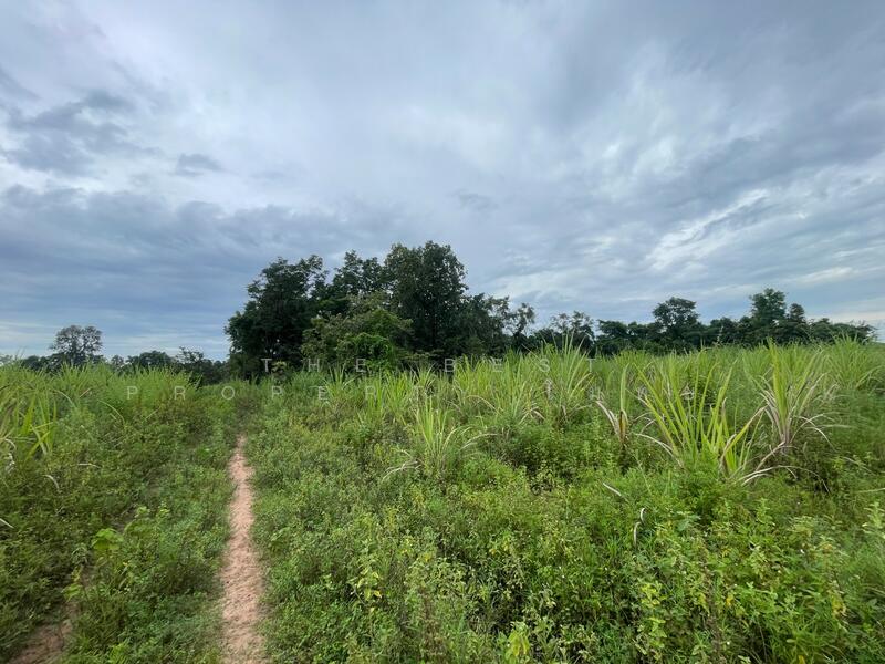 ขาย - ที่ดินอุบลรัตน์ ขอนแก่น, ขอนแก่น