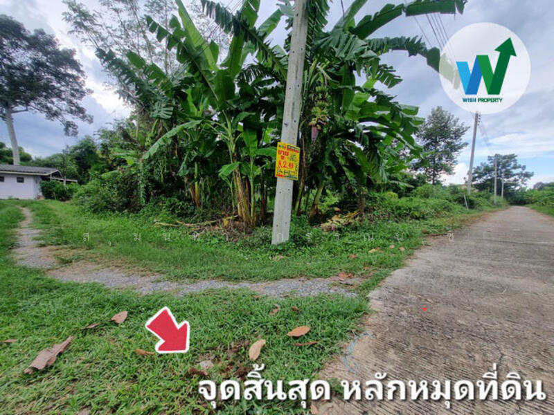 ขาย - ขายที่ดินเปล่า 8 ไร่ 2 งาน 49 ตร.ว. ต.ศิลาดาน อ.มโนรมย์ จ.ชัยนาท, ชัยนาท