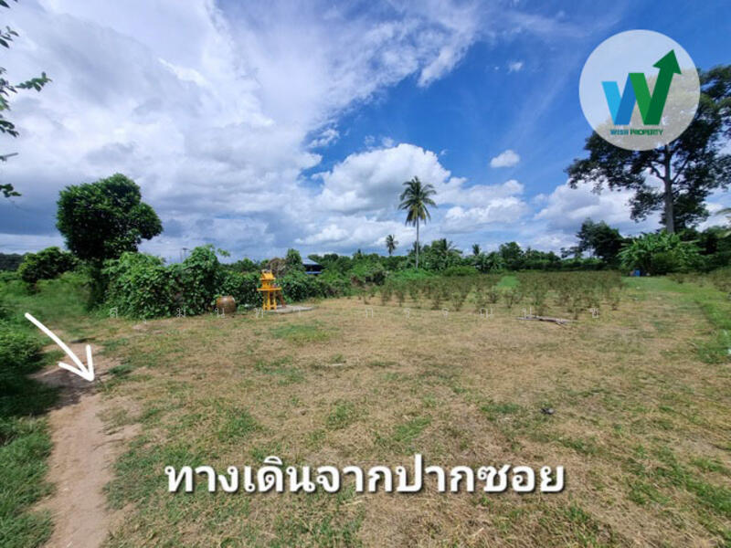 ขาย - ขายที่ดินเปล่า 8 ไร่ 2 งาน 49 ตร.ว. ต.ศิลาดาน อ.มโนรมย์ จ.ชัยนาท, ชัยนาท