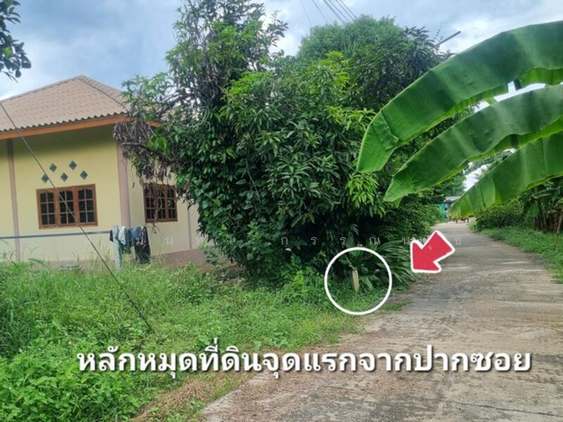 ขาย - ขายที่ดินเปล่า 8 ไร่ 2 งาน 49 ตร.ว. ต.ศิลาดาน อ.มโนรมย์ จ.ชัยนาท, ชัยนาท
