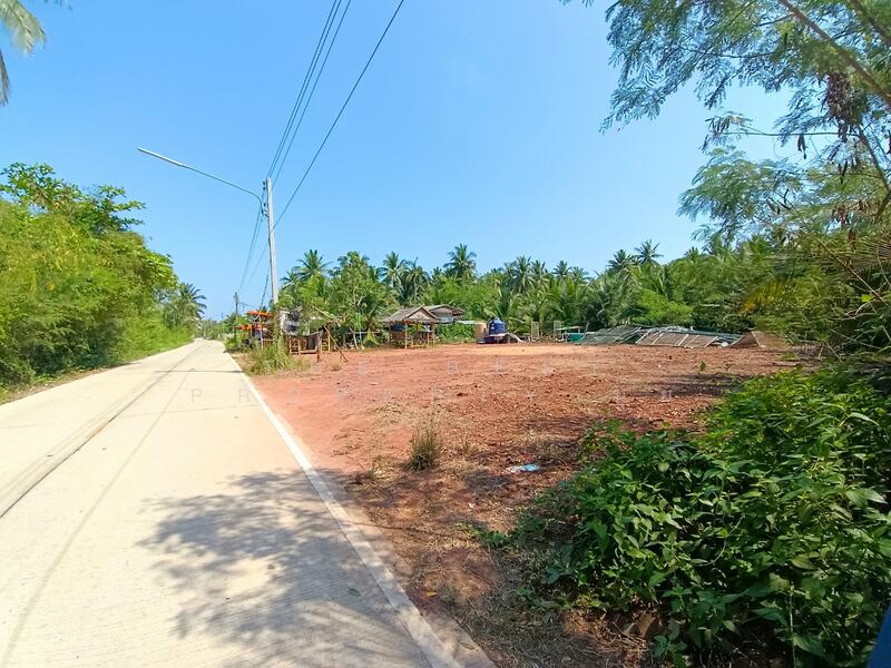 ขาย - ที่ดินคลองเขิน สมุทรสงคราม, สมุทรสงคราม