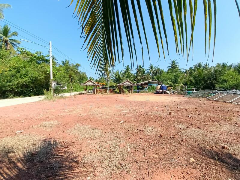 ขาย - ที่ดินคลองเขิน สมุทรสงคราม, สมุทรสงคราม