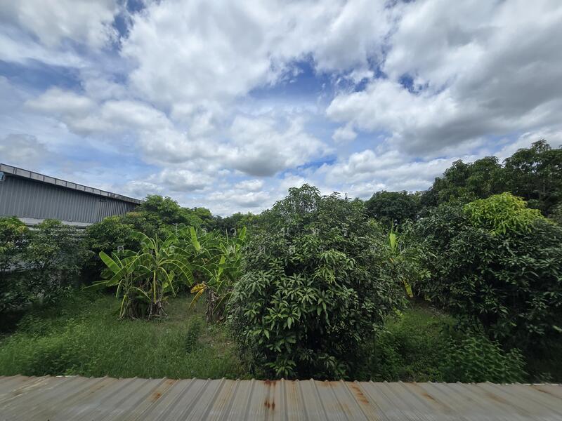 ขาย - ขายที่ดินถมแล้ว กระทุ่มล้ม9 พุทธมณฑลสาย4 390ตร.ว. (พร้อมสิ่งปลูกสร้าง)​ สามพราน นครปฐ, นครปฐม