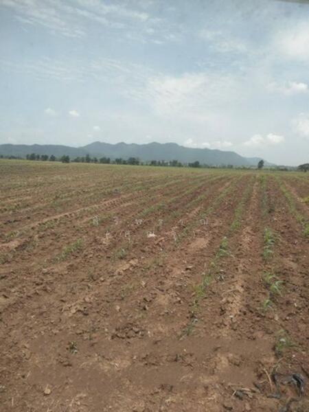 ขาย - ต.หินซ้อน อ.แก่งคอย จ.สระบุรี, สระบุรี