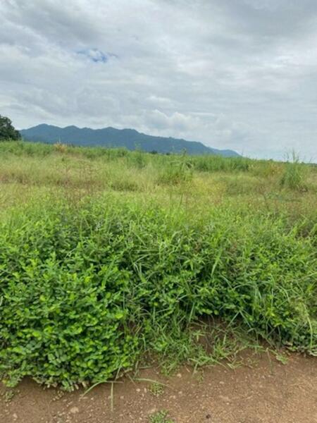 ขาย - ต.หินซ้อน อ.แก่งคอย จ.สระบุรี, สระบุรี