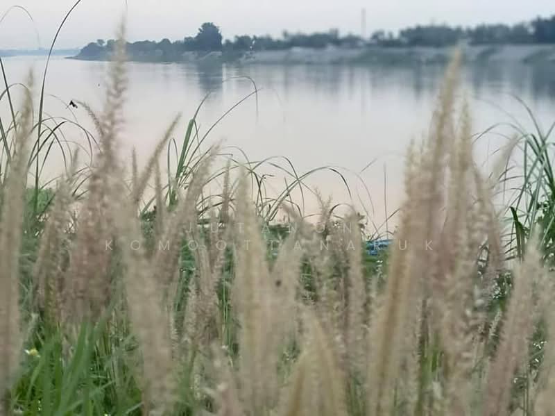 ขาย - ขายบ้านเดี่ยว 2 ชั้น 100 ตร.ว. ติดถนนริมโขงเวียงคุก เมืองหนองคาย, หนองคาย