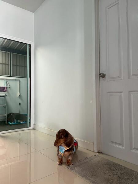 For Sale - VP28+WC กรุงเทพมหานคร, Bangkok