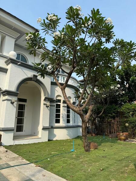 ขาย - Nantawan Ramintra-Watcharaphon : นันทวัน รามอินทรา-วัชรพล, กรุงเทพ