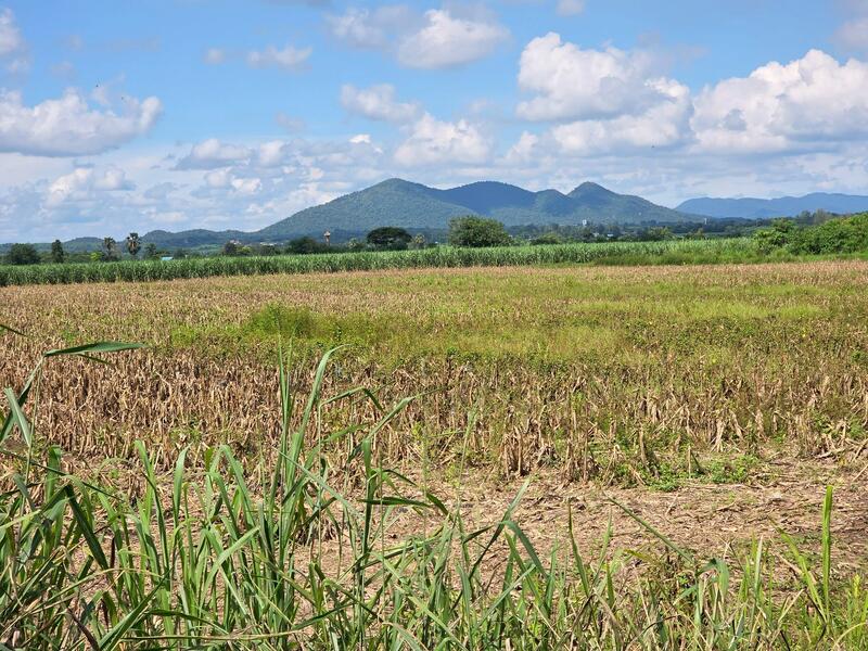 ขาย - ขายที่ดิน ขายที่ดินสวย 6-3-88 ไร่ เพียง 3,485,000,-, สระบุรี