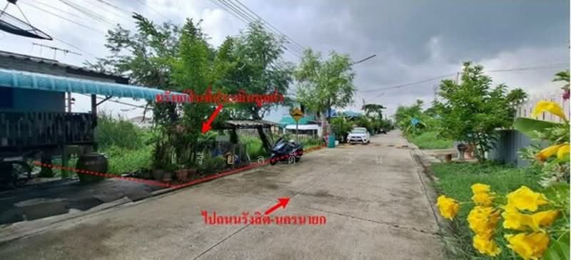 ขายที่ดินเปล่ารังสิต-นครนายก33ซอย1/4ใกล้ฟิวเจอร์รังสิต, ปทุมธานี, ประชาธิปัตย์, ธัญบุรี, ปทุมธานี, 280 ตร.ม., ที่ดิน ขาย, โดย เรียลตี้ วัน, 60199661 - DDproperty.com
