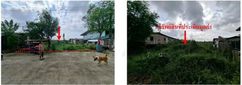 ขายที่ดินเปล่ารังสิต-นครนายก33ซอย1/4ใกล้ฟิวเจอร์รังสิต, ปทุมธานี, ประชาธิปัตย์, ธัญบุรี, ปทุมธานี, 280 ตร.ม., ที่ดิน ขาย, โดย เรียลตี้ วัน, 60199661 - DDproperty.com