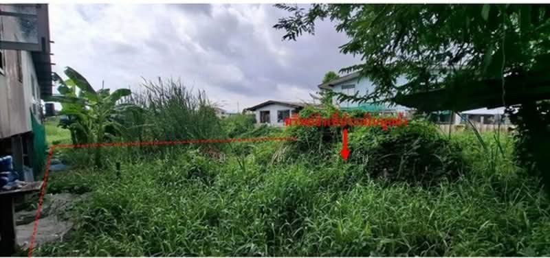 ขายที่ดินเปล่ารังสิต-นครนายก33ซอย1/4ใกล้ฟิวเจอร์รังสิต, Pathum Thani, Prachathipat, Thanyaburi, Pathum Thani, , 280 sqm, Land For Sale, by เรียลตี้ วัน, 60199661 - DDproperty.com