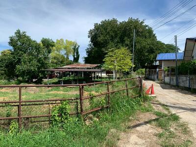 ขาย - ขายที่ดินเปล่า พญาเย็น ปากช่อง นครราชสีมา จำนวน 14 ไร่ หน้ากว้าง 146 ยาว 241 เมตร ใกล้รีสอร์ท, นครราชสีมา