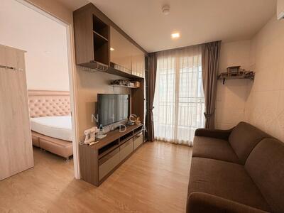 ขาย - The Light New York : เดอะ ไลท์ นิวยอร์ค, กรุงเทพ