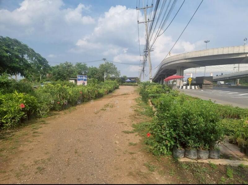 ขาย - ขายที่ดินติดถนนใหญ่ โซนสีชมพู พญาเย็น ปากช่อง นครราชสีมา โฉนดครุฑแดง พร้อมโอน 59 ไร่ ทำเลศักยภาพมาก, นครราชสีมา