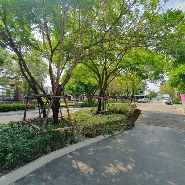 Siri Place Phaholyothin 52, Bangkok, Phahonyothin 52 Yeak 45, Khlong Tanon, Sai Mai, Bangkok, 2 Bedrooms, 93 sqm, Townhouse For Sale, by Connex Property, 60201255 - DDproperty.com
