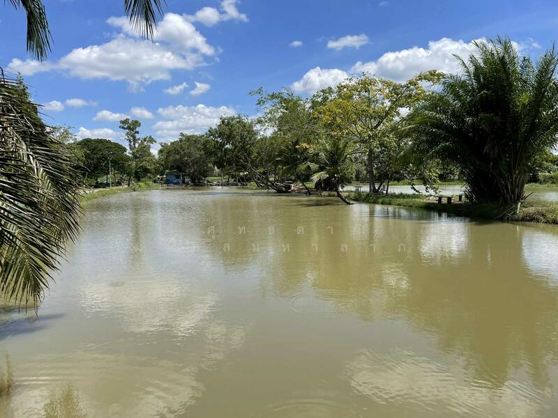 ขาย - ขายที่ดิน 101 ไร่ 1 งาน 3 ตารางวา ถนนรังสิตคลอง10 ต.บึงบา อ.หนองเสือ ปทุมธานี, ปทุมธานี