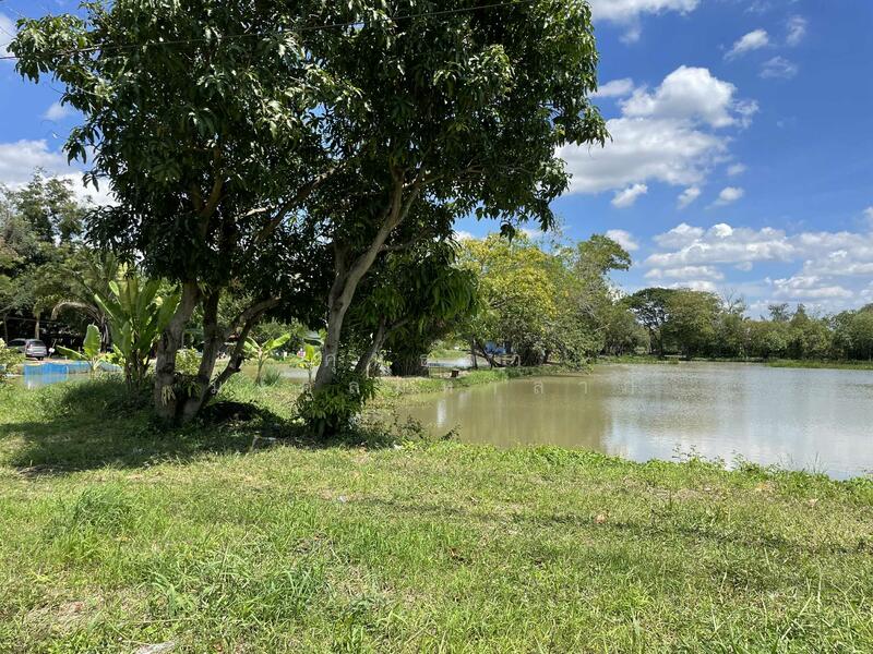 ขาย - ขายที่ดิน 101 ไร่ 1 งาน 3 ตารางวา ถนนรังสิตคลอง10 ต.บึงบา อ.หนองเสือ ปทุมธานี, ปทุมธานี