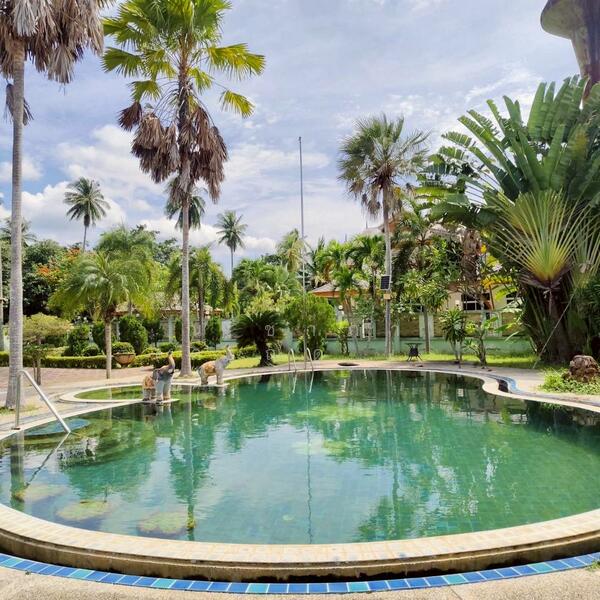 For Sale - พัทยาฝั่งเขา - พัทยานาจอมเทียน ตำบลนาจอมเทียน อำเภอสัตหีบ จังหวัดชลบุรี, Chon Buri
