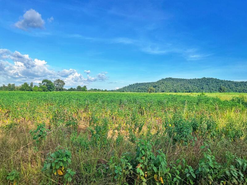 For Sale - https://www.klungbaan.com/property/ขายที่ดิน-เนื้อที่-41-ไร่-2-ง-2/, Chai Nat